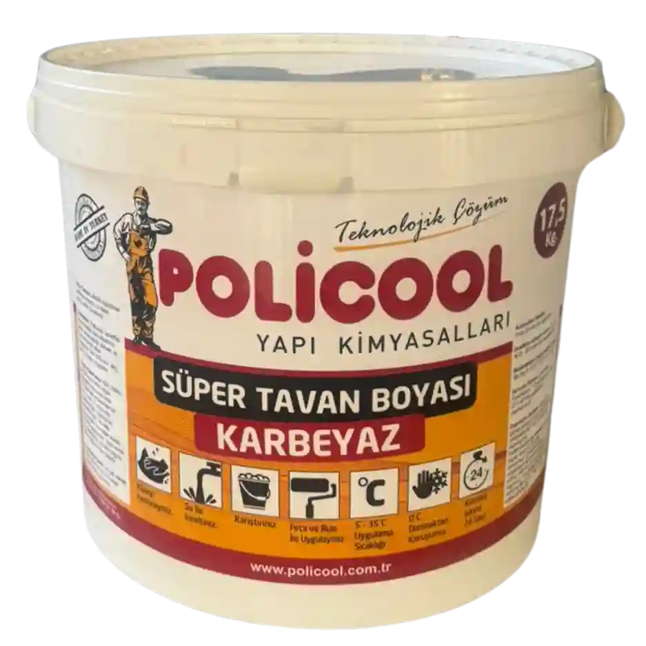 Kar Beyaz Tavan Boyası